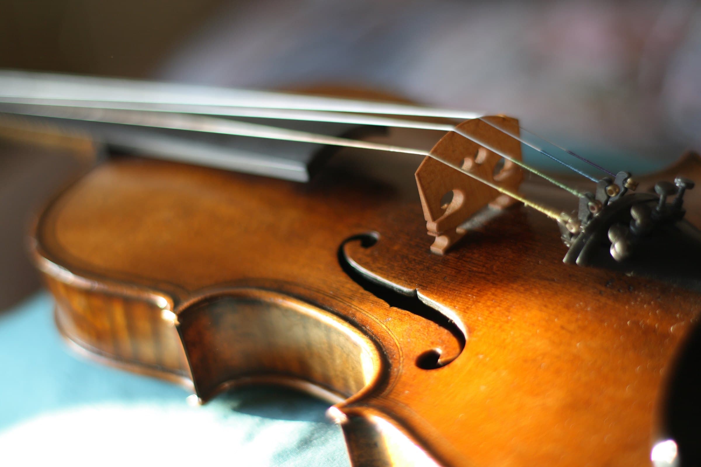 Violino appoggiato