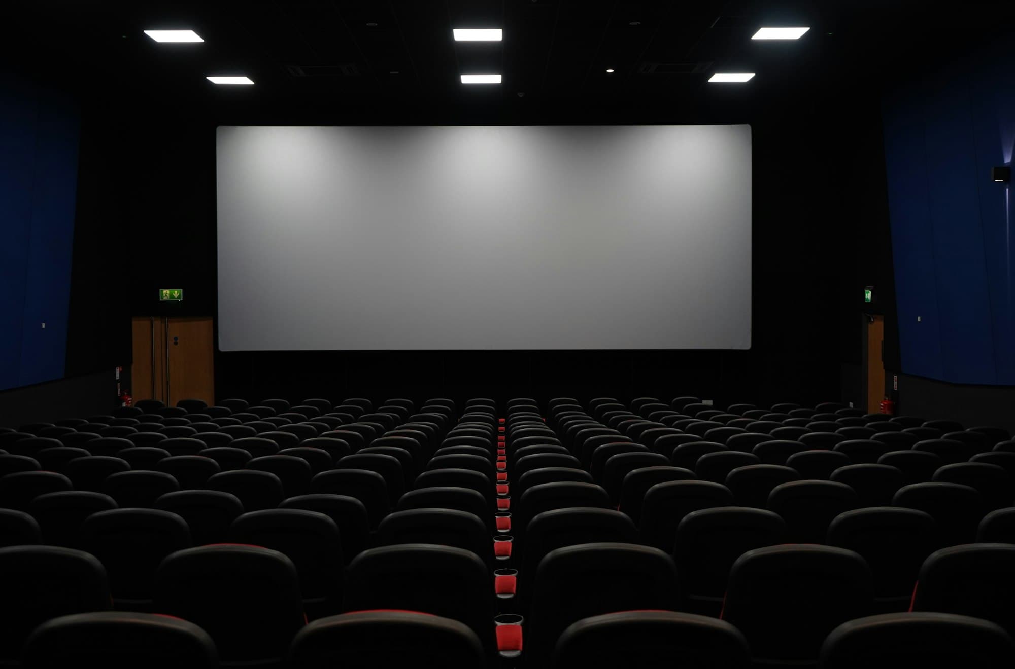 La sala di un cinema vista dalle ultime file